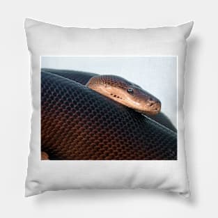 Olive Python Pillow