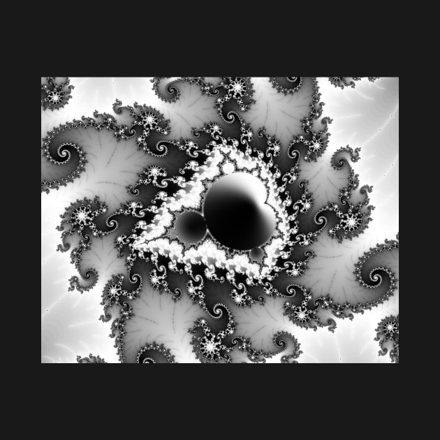 Monochrome Mandelbrot I by rupertrussell