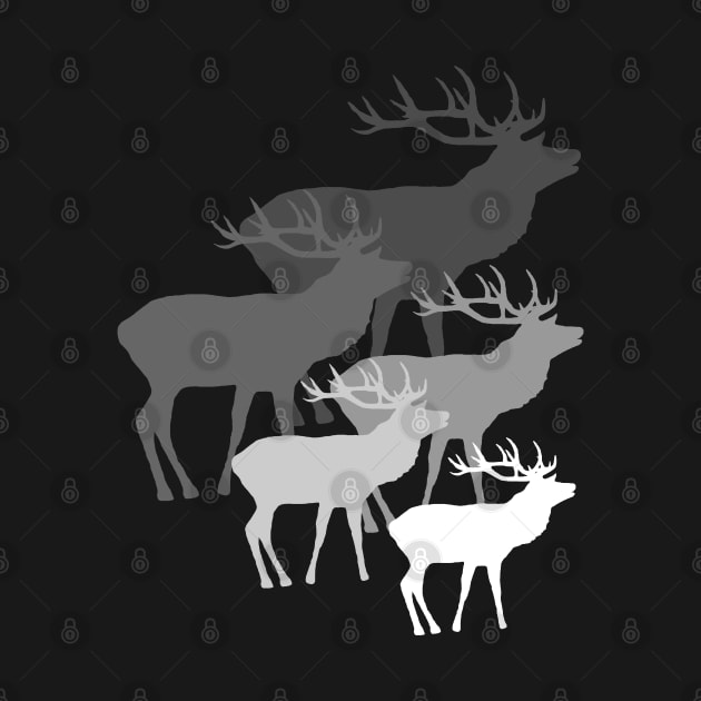 stag, deer, animals, hunting, hunter, forest, forester by rh_naturestyles