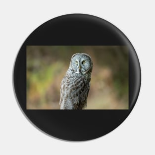 Great Grey Owl Portrait Pin