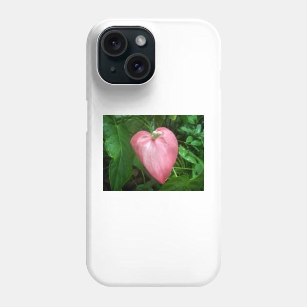 Love Nature Phone Case by BSCustoms