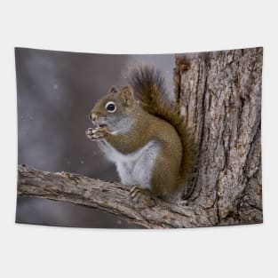 Red Squirrel Tapestry