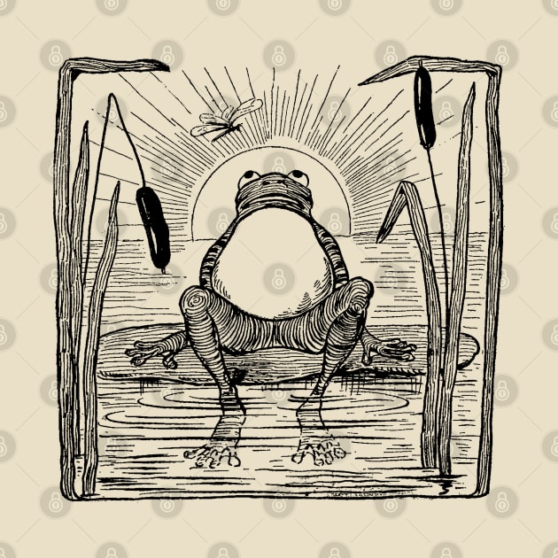 Cute Grumpy Frog in Full Moon, Toad Sitting Under Large Moon, Cottagecore Phrog Drawing, Naturecore Froge by Ministry Of Frogs