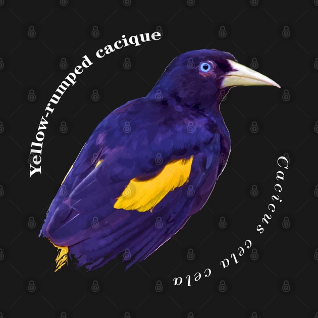 Yellow-rumped cacique tropical brd pin white text by Ornamentum