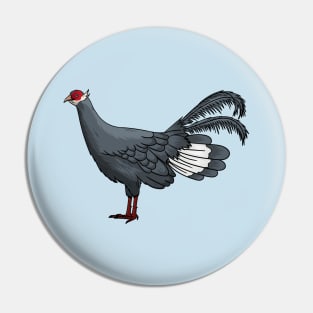 Blue eared pheasant bird cartoon illustration Pin