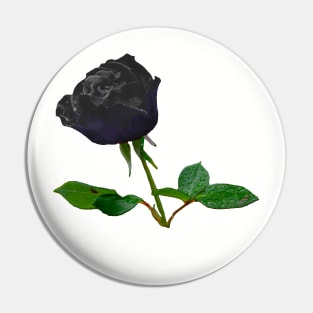 Black Rose Pin