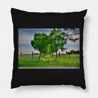 Spring Landscape Near Cividale del Friuli Pillow