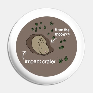 Impact Crater Bunny From The Moon Pin