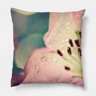 Simple Pleasures Pillow