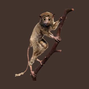 Funny Taxidermy Stuffed Animal Lemur Primate T-Shirt