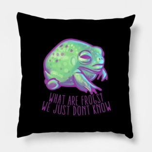 What Are Frogs Pillow