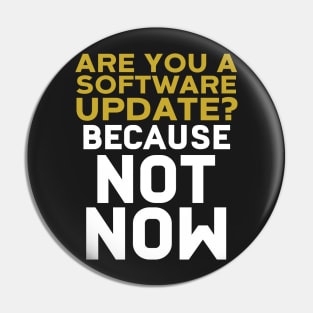 Are You A Software Update? Because Not Now Pin