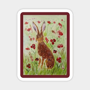 Hare among Poppies Magnet