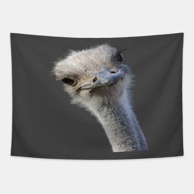 Ostrich Face With Gormless Expression Tapestry by taiche