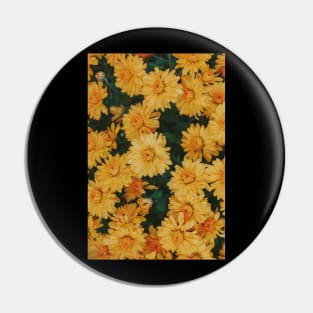 Daisies Pin