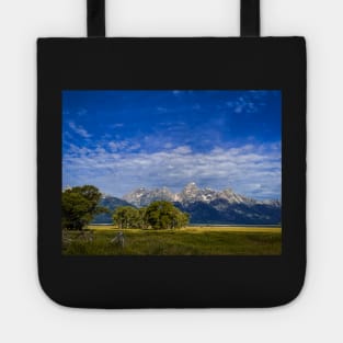 Tetons Tote