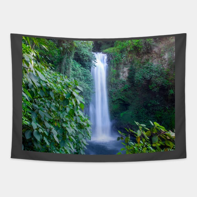 Waterfall Tapestry by algill