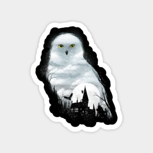 Magical Owl Magnet