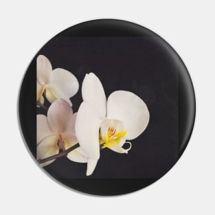 Black and White Orchid Pin