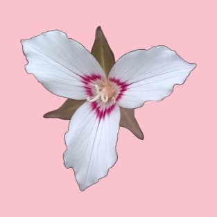 Painted Trillium Blossom T-Shirt