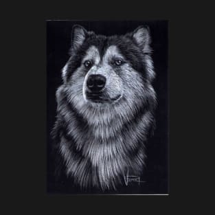 Alaskan Malamute T-Shirt