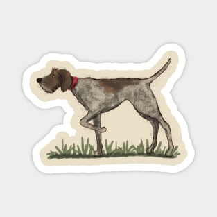 German Wirehaired Pointer Magnet