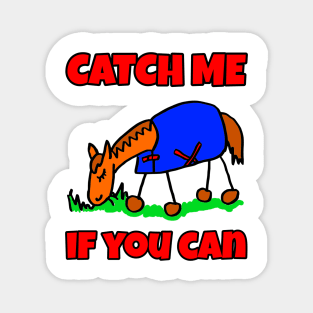 Cartoon Horse Catch Me If You Can Magnet