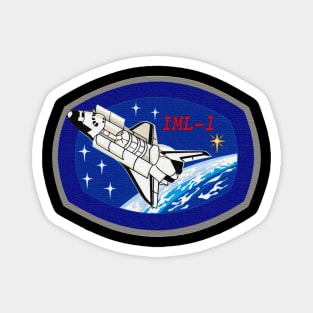 Black Panther Art - NASA Space Badge 127 Magnet