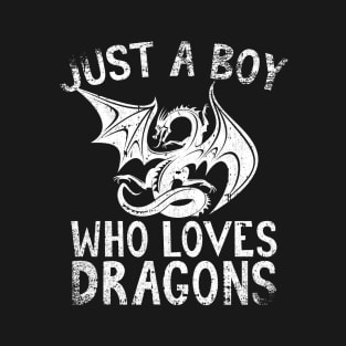 Just A Boy Who Loves Dragons T-Shirt