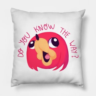 Do you know the way Pillow