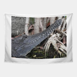 Freshwater Crocodile Tapestry