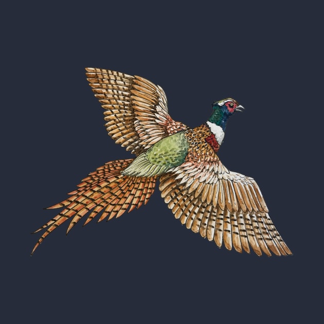 Flying Pheasant by calebfaires