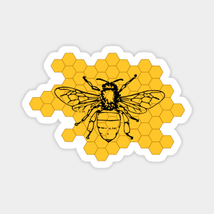 Black Bee on Yellow Honeycomb Magnet