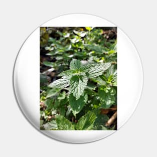 Nettle Pin