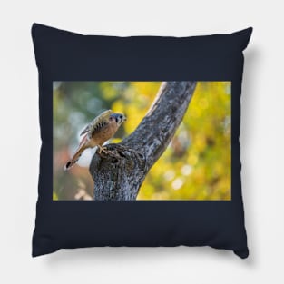 Autumn Kestrel Pillow