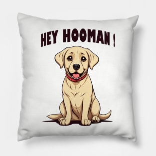 Hey Hookman ! Pillow