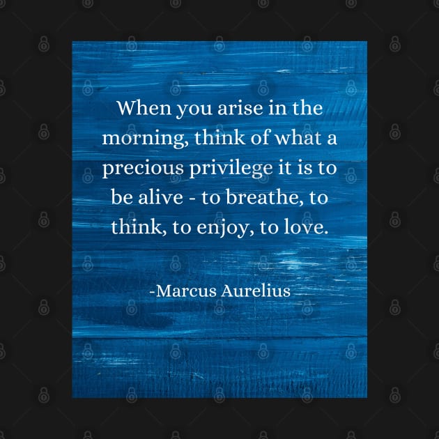 Marcus Aurelius: Morning Privilege, Embrace Life's Beauty by Dose of Philosophy