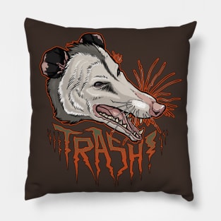 Trash Pillow