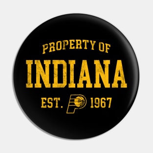 Indiana State Pin