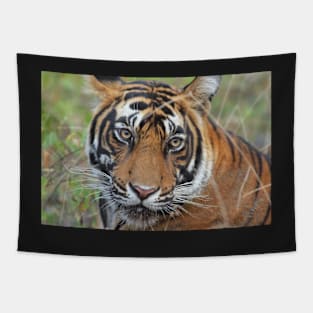 Tiger Portrait Tapestry