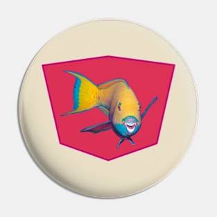 Parrotfish | What a striking make-up! | Variation on Viva Magenta background| Pin