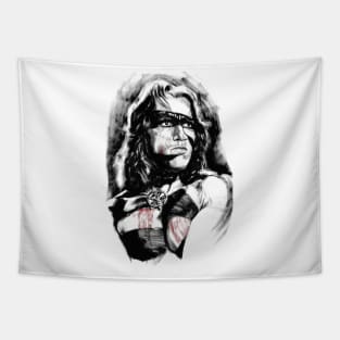 Conan The Barbarian Tapestry