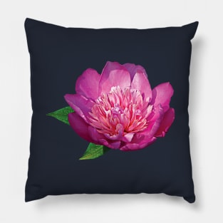 Peonies - Pink Peony Pillow