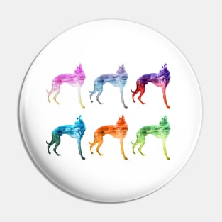 Multicoloured Whippet Waves Pop Art Pin