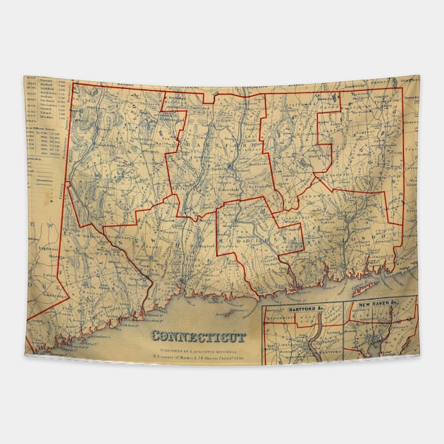 Vintage Map of Connecticut (1847) Tapestry by Bravuramedia
