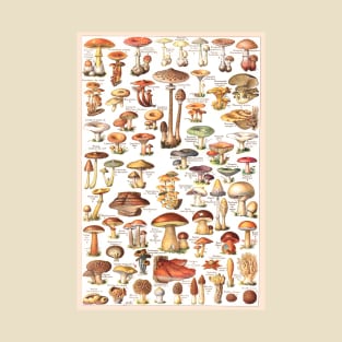 A variety of mushroom species T-Shirt