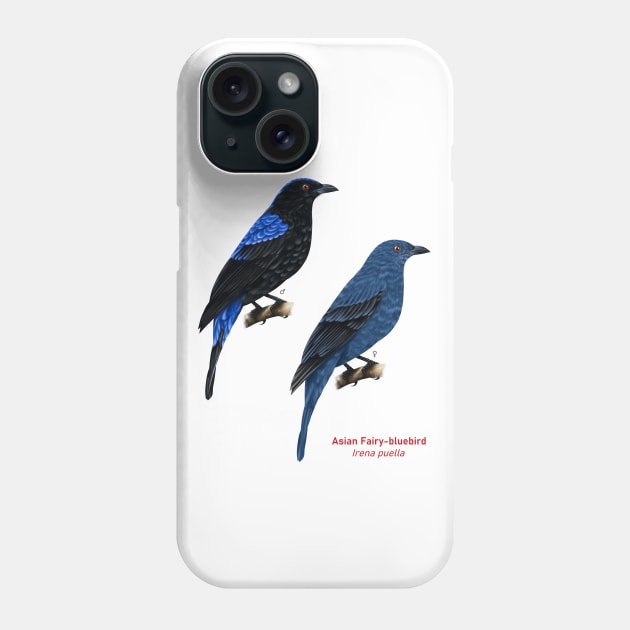 Asian Fairy-bluebird | Irena puella ⚥ Phone Case by bona 