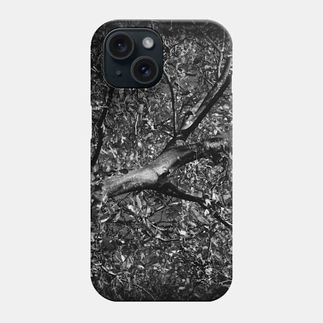 Leaves In Black & White Phone Case by J. Rufus T-Shirtery