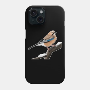 Jay Bird Watching Birding Ornithologist Gift Phone Case