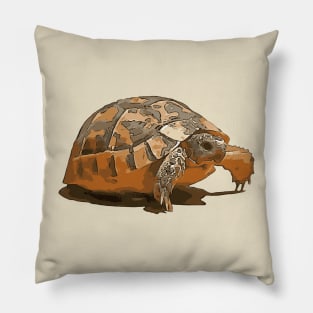 Cartoon Portrait Of A Baby Wild Tortoise Black Outline Art Pillow